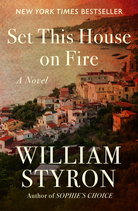 Cover image for book Set This House on Fire