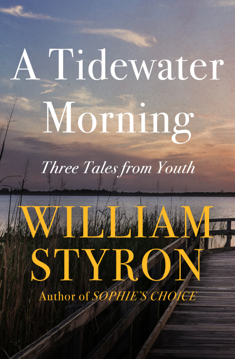 Cover image for book A Tidewater Morning