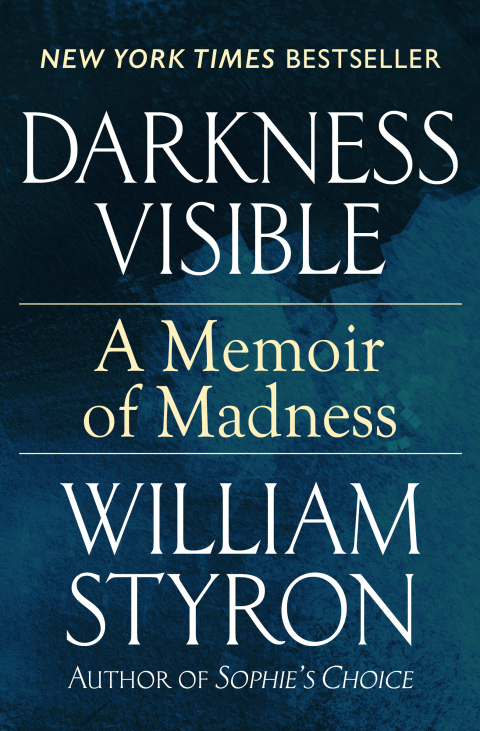 Cover image for book Darkness Visible