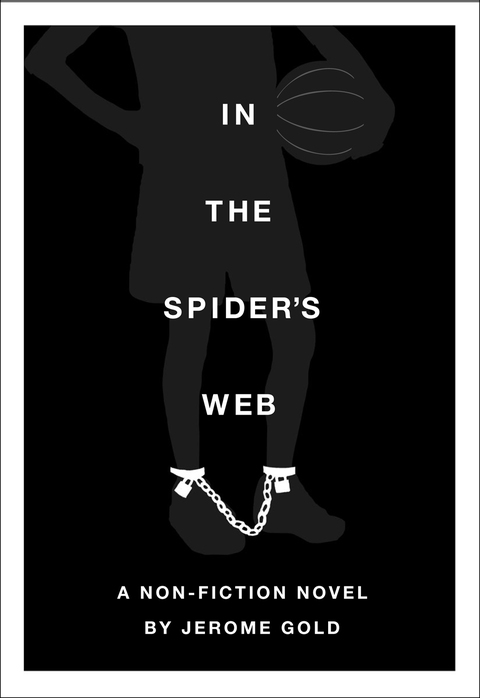 Cover image for book In the Spider's Web