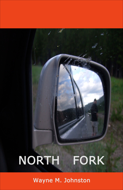 Cover image for book Northfork
