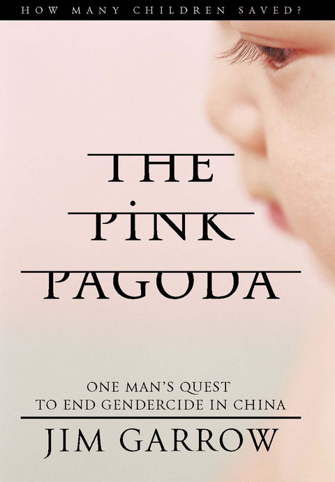Cover image for book The Pink Pagoda