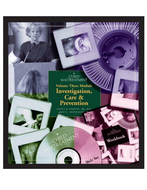 Cover image for book Child Maltreatment, Volume 3 Module
