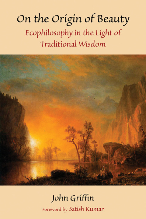 Cover image for book On the Origin of Beauty
