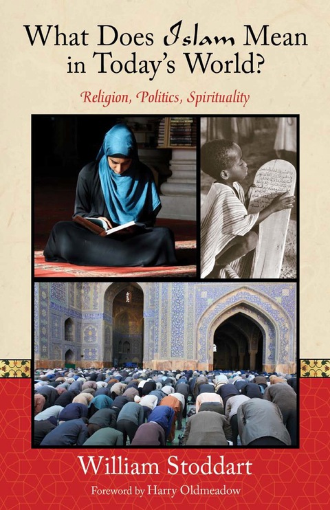 Cover image for book What Does Islam Mean in Today's World?