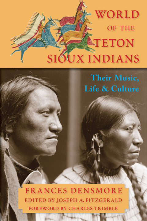Cover image for book World of the Teton Sioux Indians