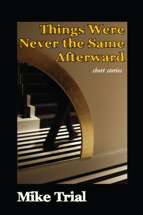Cover image for book Things Were Never the Same Afterward