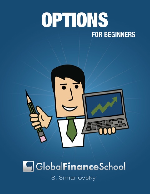Cover image for book Options for Beginners