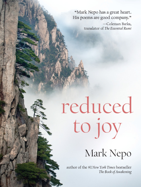 Cover image for book Reduced to Joy