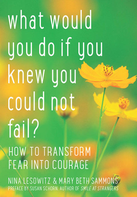 Cover image for book What Would You Do If You Knew You Could Not Fail?