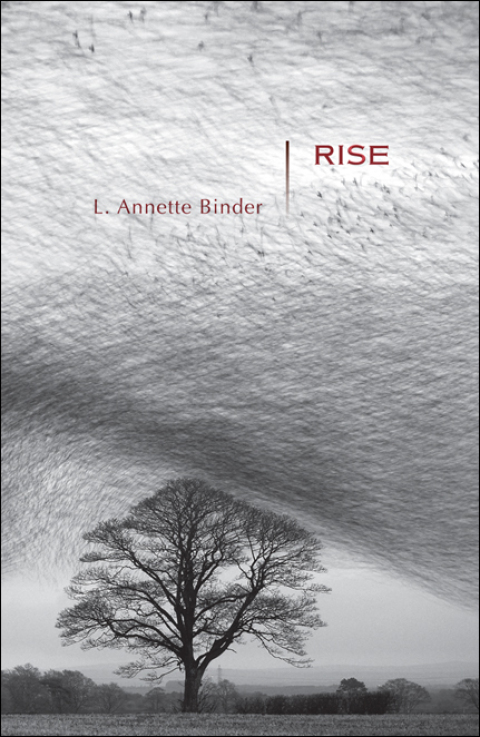 Cover image for book Rise