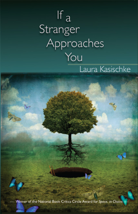 Cover image for book If a Stranger Approaches You