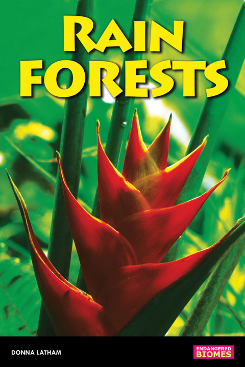 Cover image for book Rain Forests