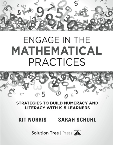 Cover image for book Engage in the Mathematical Practices