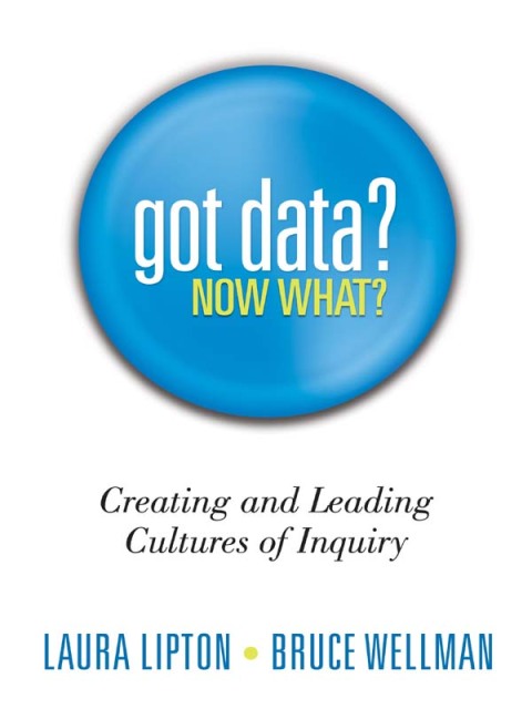 Cover image for book Got Data? Now What?