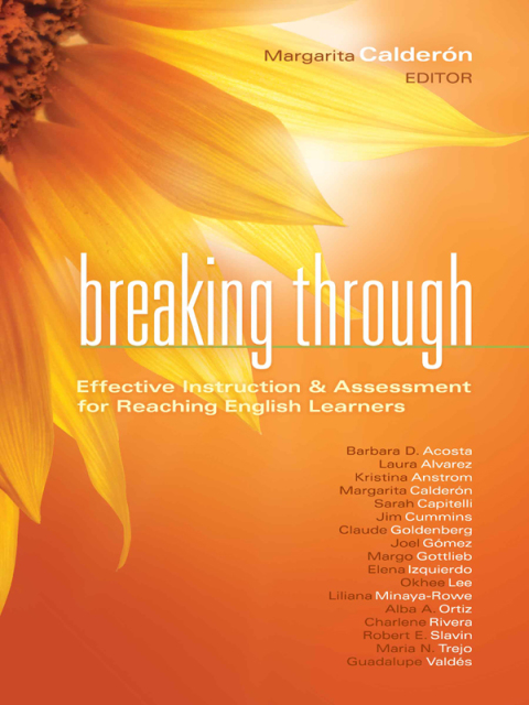 Cover image for book Breaking Through