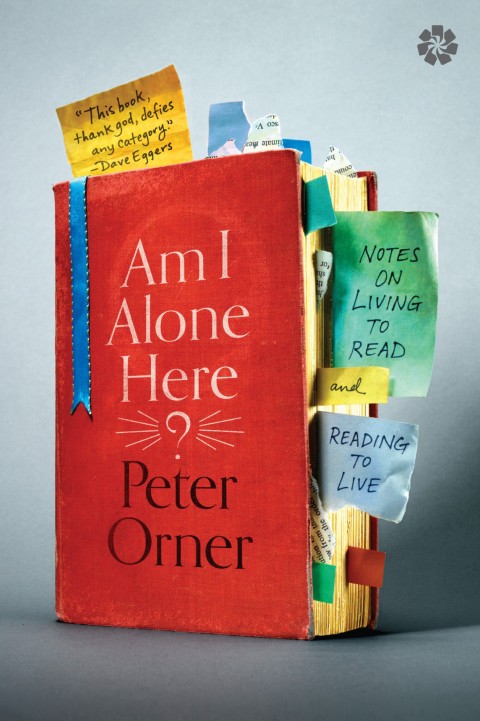 Cover image for book Am I Alone Here?