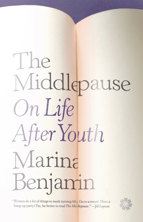 Cover image for book The Middlepause