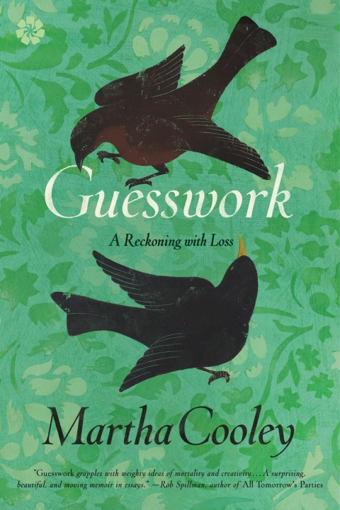 Cover image for book Guesswork