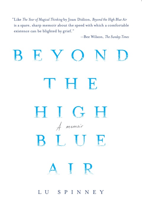Cover image for book Beyond the High Blue Air