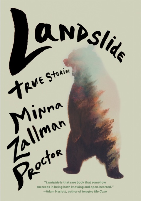 Cover image for book Landslide