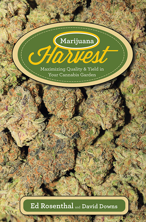 Cover image for book Marijuana Harvest