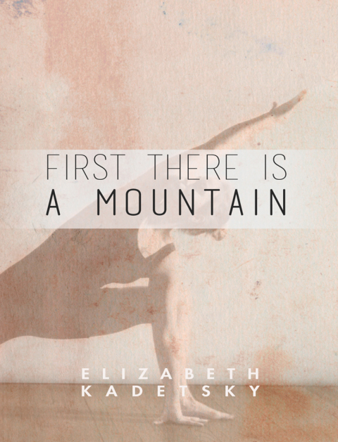 Cover image for book First There is a Mountain