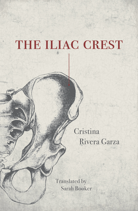 Cover image for book The Iliac Crest