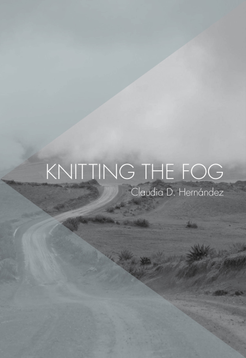 Cover image for book Knitting the Fog