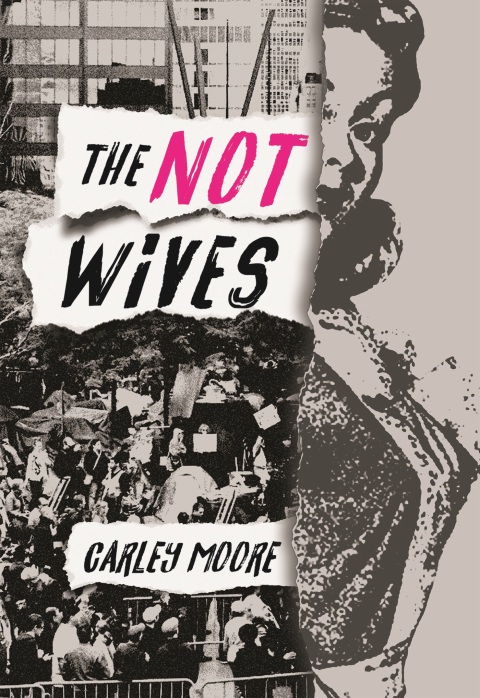 Cover image for book The Not Wives