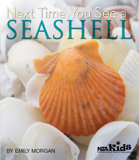 Cover image for book Next Time You See a Seashell