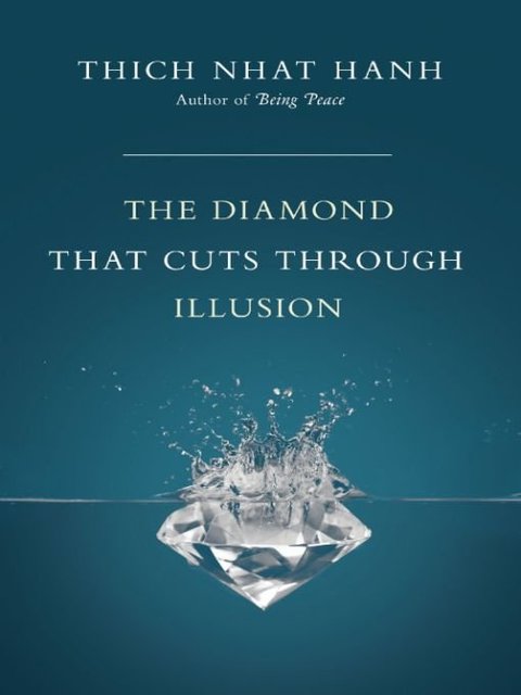 Cover image for book The Diamond That Cuts Through Illusion