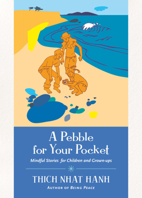 Cover image for book A Pebble for Your Pocket