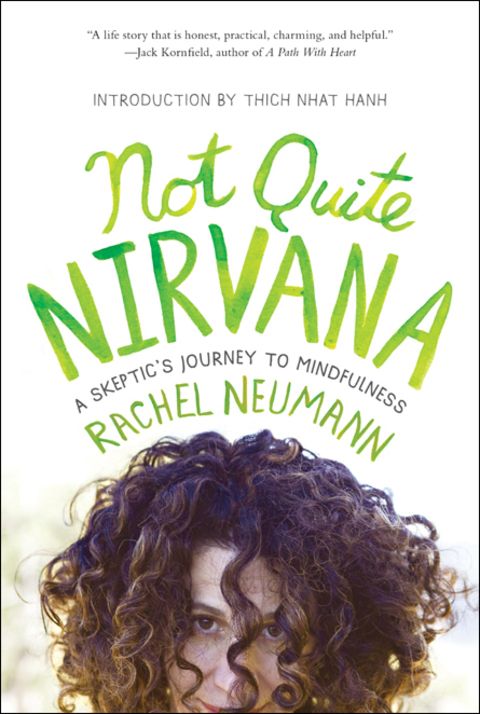 Cover image for book Not Quite Nirvana