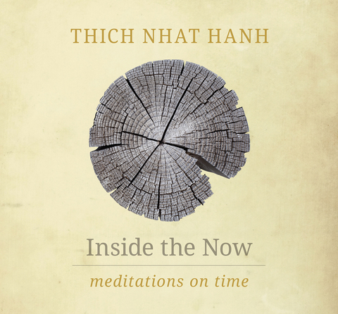 Cover image for book Inside the Now