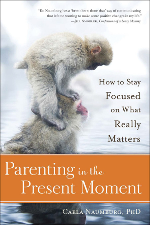 Cover image for book Parenting in the Present Moment