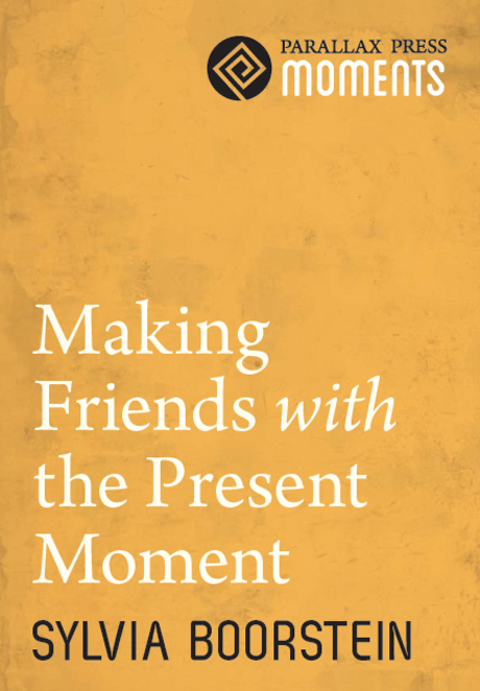 Cover image for book Making Friends with the Present Moment