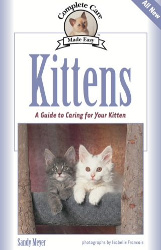 Kittens