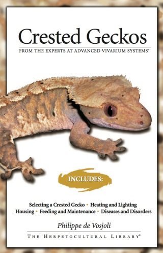 Crested Geckos