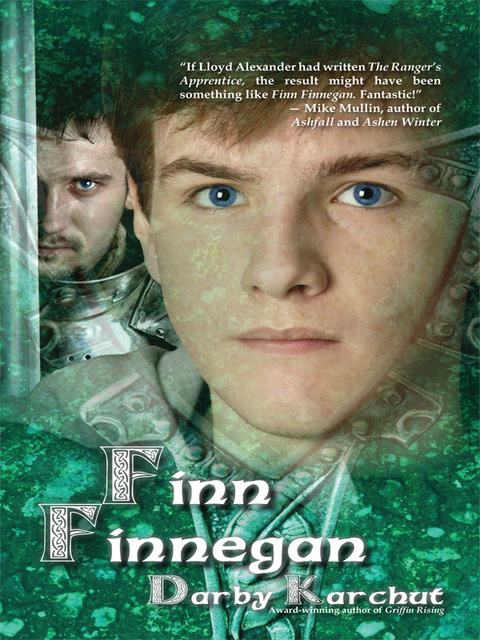 Cover image for book Finn Finnegan