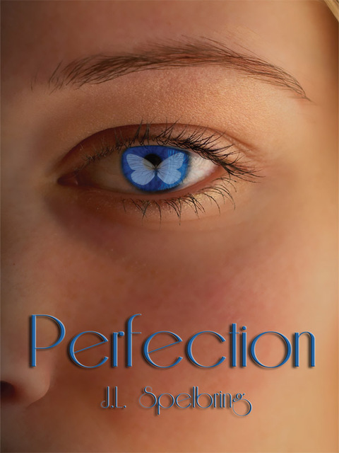 Cover image for book Perfection