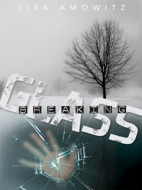 Cover image for book Breaking Glass