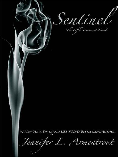 Cover image for book Sentinel
