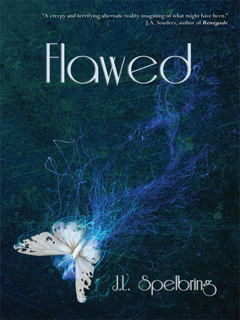 Cover image for book Flawed