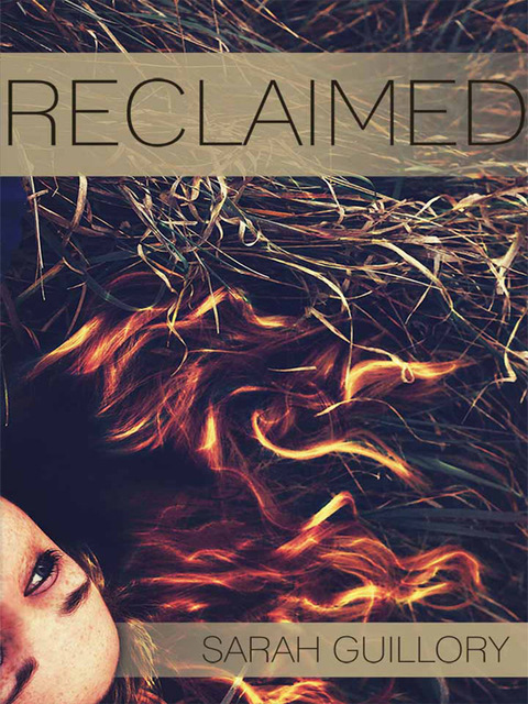 Cover image for book Reclaimed
