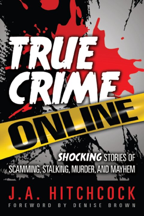 Cover image for book True Crime Online
