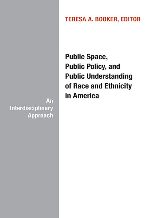 Cover image for book Public Space, Public Policy, and Public Understanding of Race and Ethnicity in America