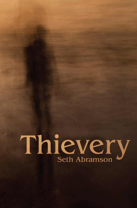 Cover image for book Thievery