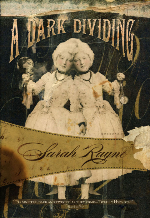 Cover image for book A Dark Dividing