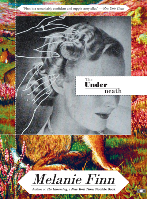 Cover image for book The Underneath